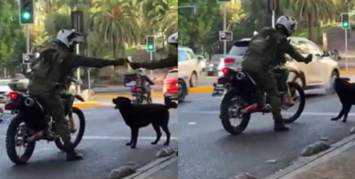 Captura de pantalla 2025-03-21 095804